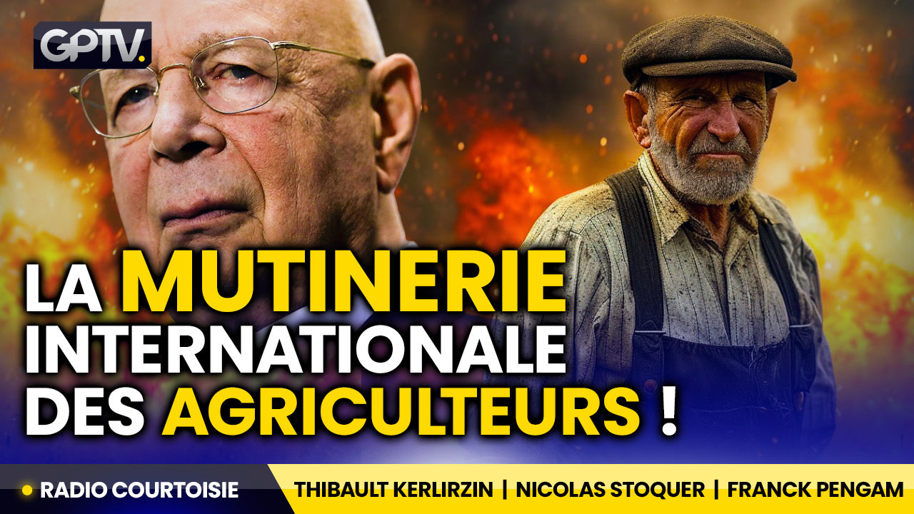 Manifestation Hyper Muscl E Des Agriculteurs D Europe Thibault