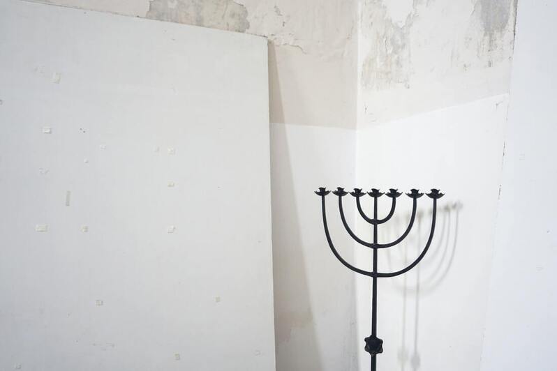 Juif, antisémitisme, Soral et Ryssen