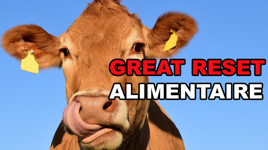 Great reset alimentaire