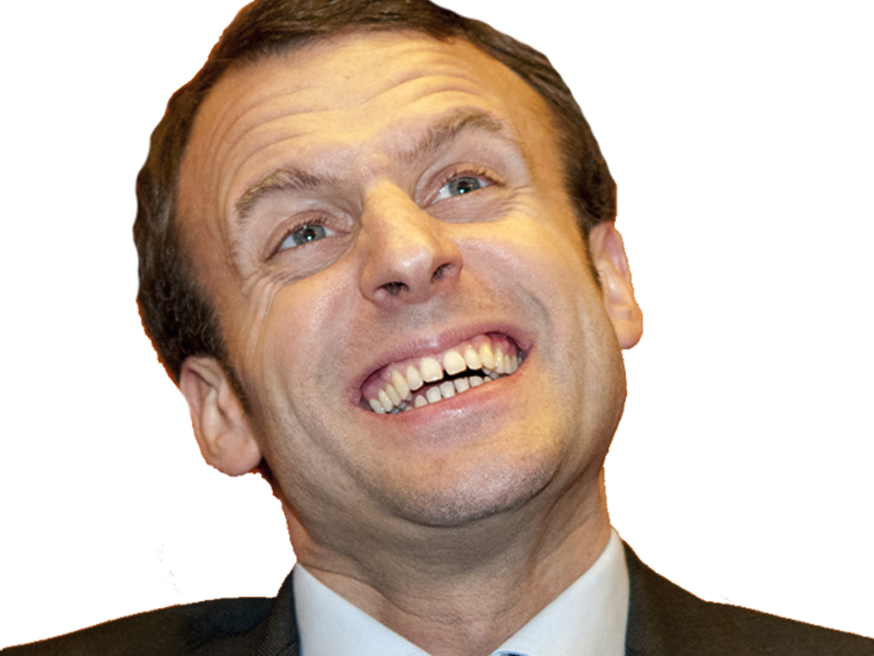 Macron giflé