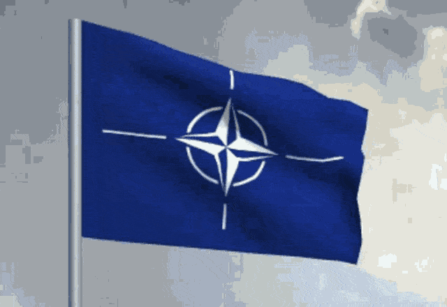 OTAN drapeau