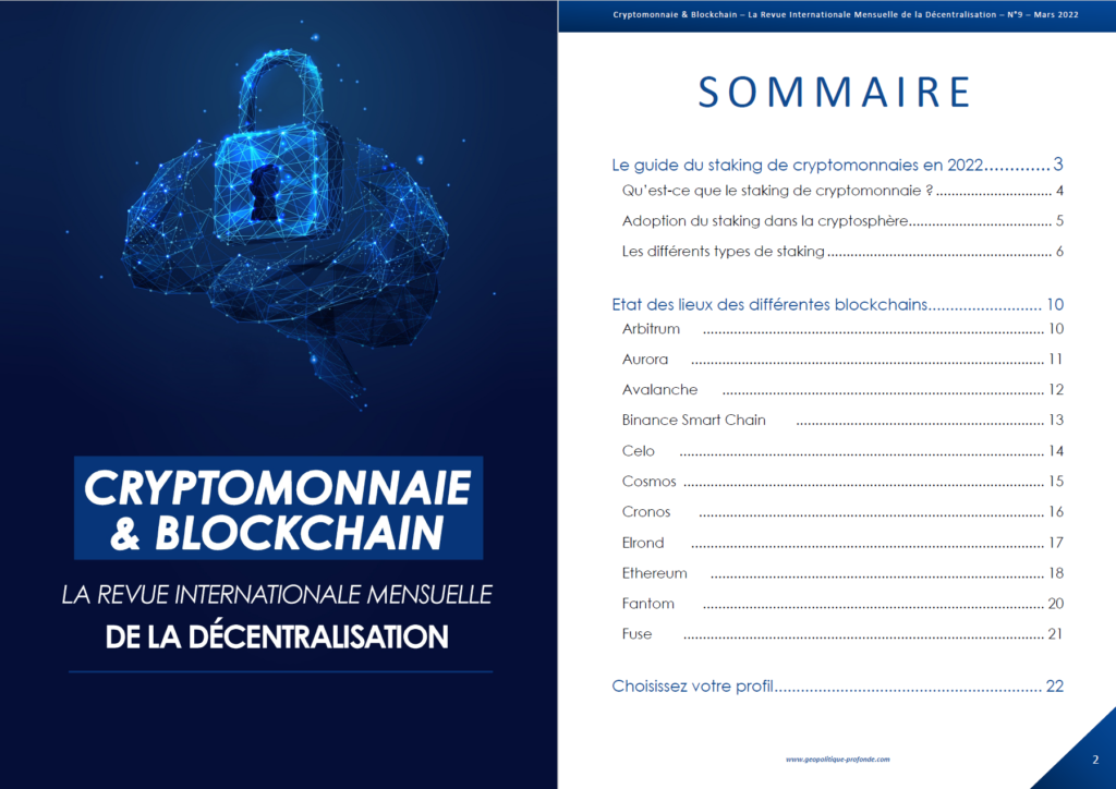 Sommaire revue Cryptomonnaie & Blockchain de mars 2022