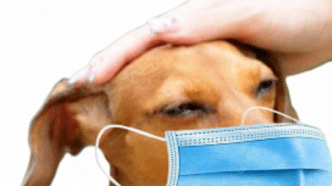 Garder le masque après vaccin