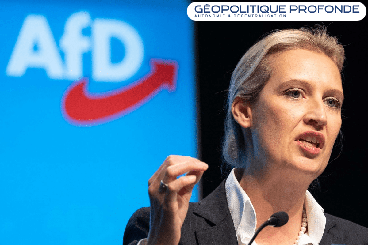 Pour les responsables politiques du parti politique de l'AfD, un groupe d’extrême droite, l’UE doit mourir et l’action de l’Otan, corrigée.