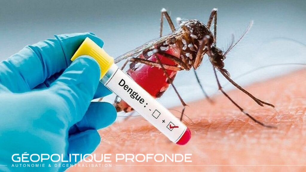 La dengue bat des records en amérique
