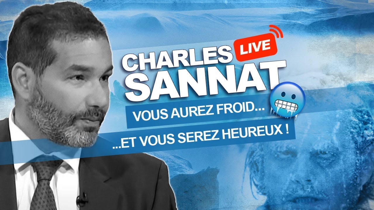 Charles Sannat- Coup de froid économique- France