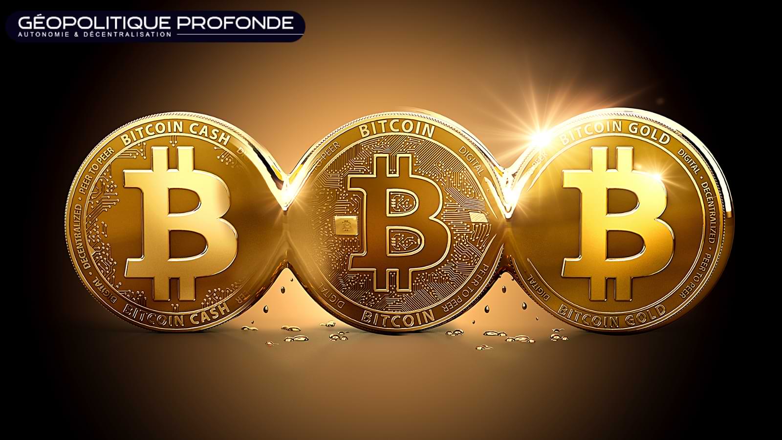 Bitcoin : une alternative aux liquidités à court terme grâce à sa résistance à la saisie et à son potentiel de rendement réel positif.