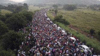 Immigration de masse