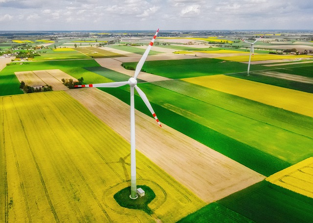 Écologie- Éoliennes