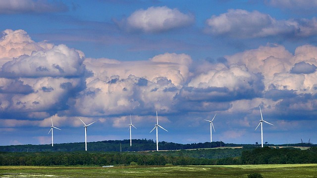 Éoliennes- Écologie