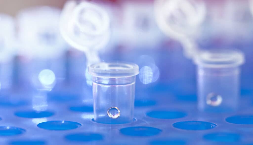 Laboratoire