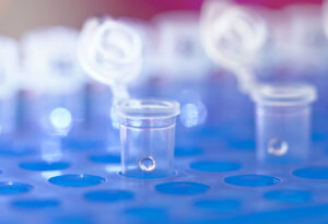 Laboratoire