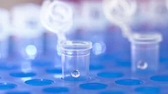 Laboratoire
