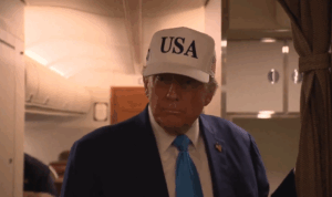 trump elon musk