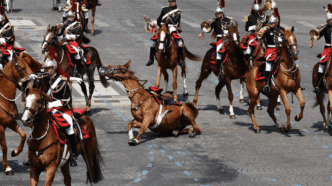 Un cheval et son cavalier, percutés par un autre cheval en divagation, chutent lors du défilé du 14 Juillet