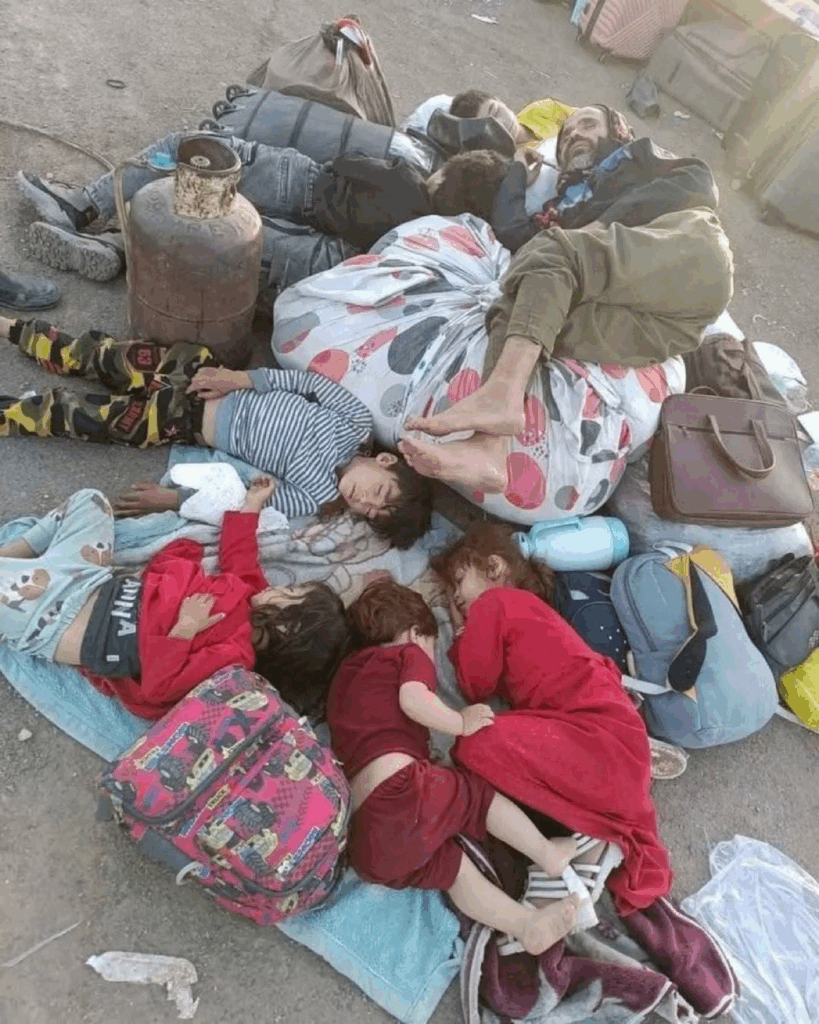 afghans 