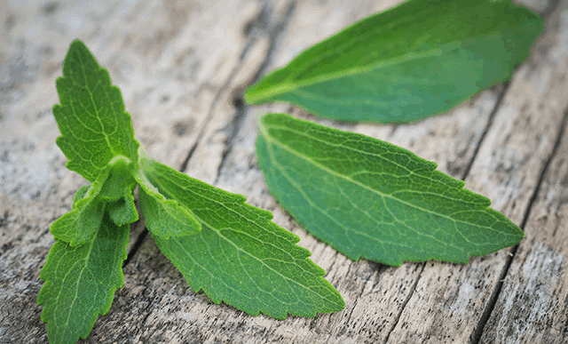 L'extrait de stévia fermenté tue les cellules cancéreuses du pancréas lors de tests en laboratoire