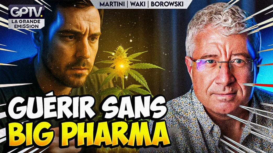 Découvrez les alternatives naturelles aux médicaments : phytothérapie, nutrition, acupuncture et autres solutions douces pour soigner sans chimie.