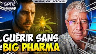 Découvrez les alternatives naturelles aux médicaments : phytothérapie, nutrition, acupuncture et autres solutions douces pour soigner sans chimie.