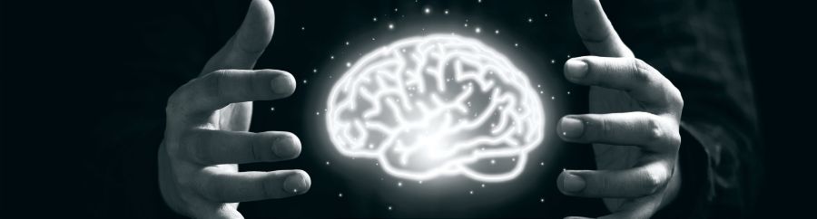 Laurent Ozon- Effondrement-Intelligence - Revue Géopolitique Profonde-Novembre-2025