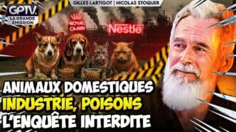 Découvrez comment l’alimentation toxique pour chiens et chats menace leur santé et comment reprendre le contrôle de leur gamelle.