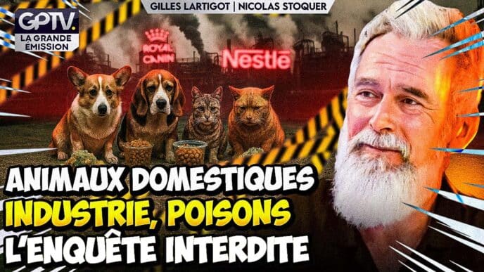 Découvrez comment l’alimentation toxique pour chiens et chats menace leur santé et comment reprendre le contrôle de leur gamelle.