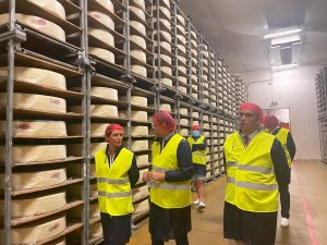 La Chine impose des taxes provisoires de 21,9 % à 42,7 % sur les produits laitiers français en riposte aux droits européens