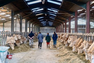 Dermatose : la ministre assure « entendre » les éleveurs et défend sa stratégie sanitaire