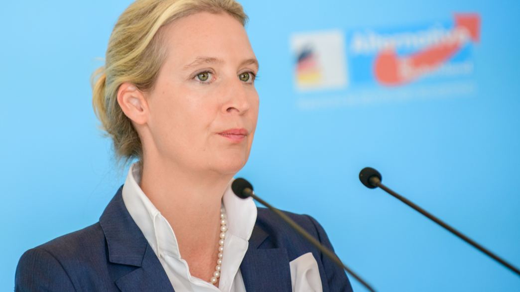 Après les propos de Zelensky visant Orbán, la dirigeante de l’AfD estime qu’un « barrage a cédé » en Europe